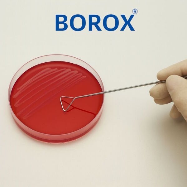 Borox Drigalski Çubuğu Spatül 16cm - Hücre Yayıcı - Paslanmaz Çelik Spatula