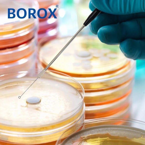 Borox Öze Ucu 5 mm - Halka Uçlu - Inoculation Loop - 10 Adet